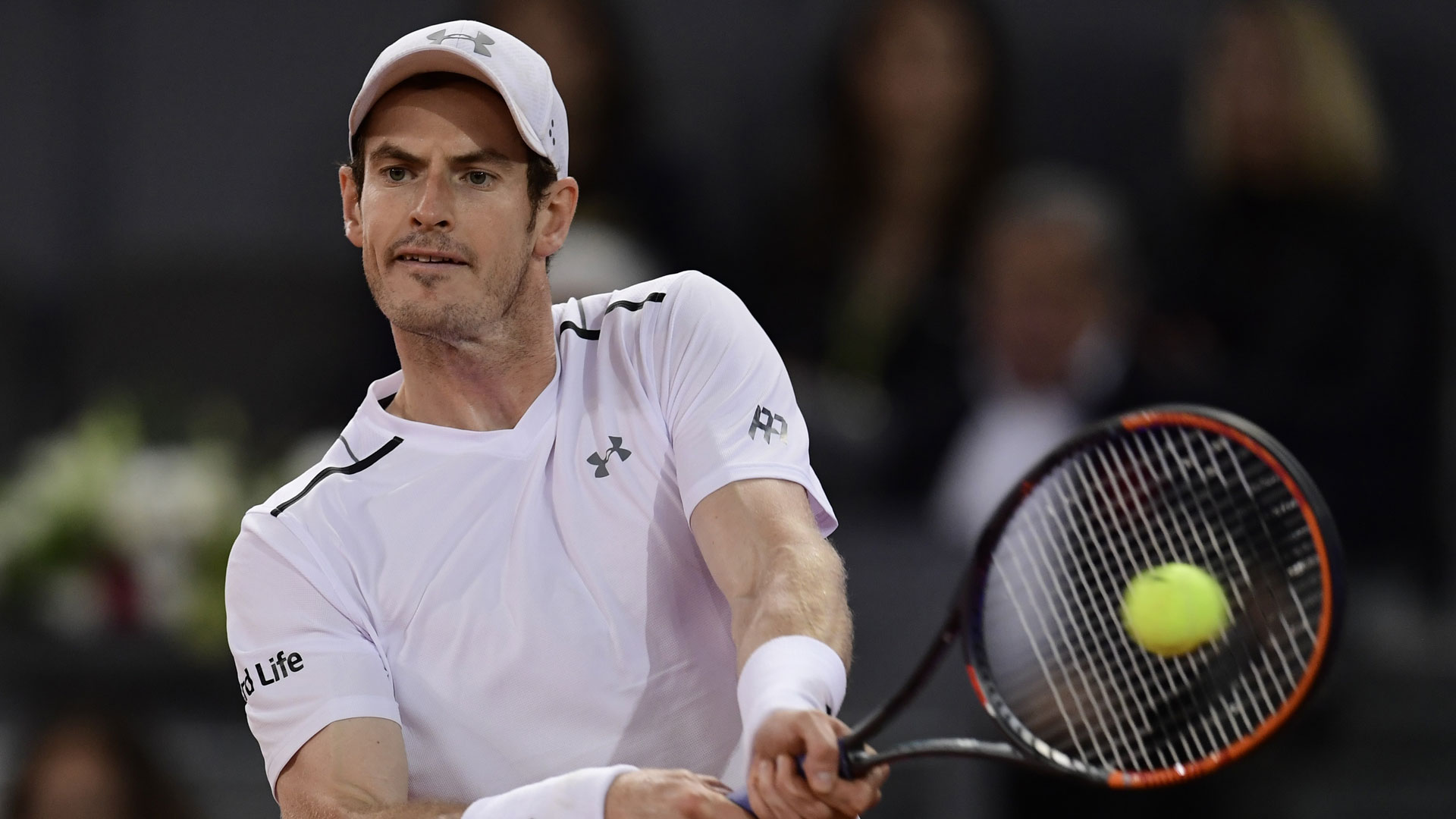 Extraoficial: Andy Murray dirá presente en el US Open