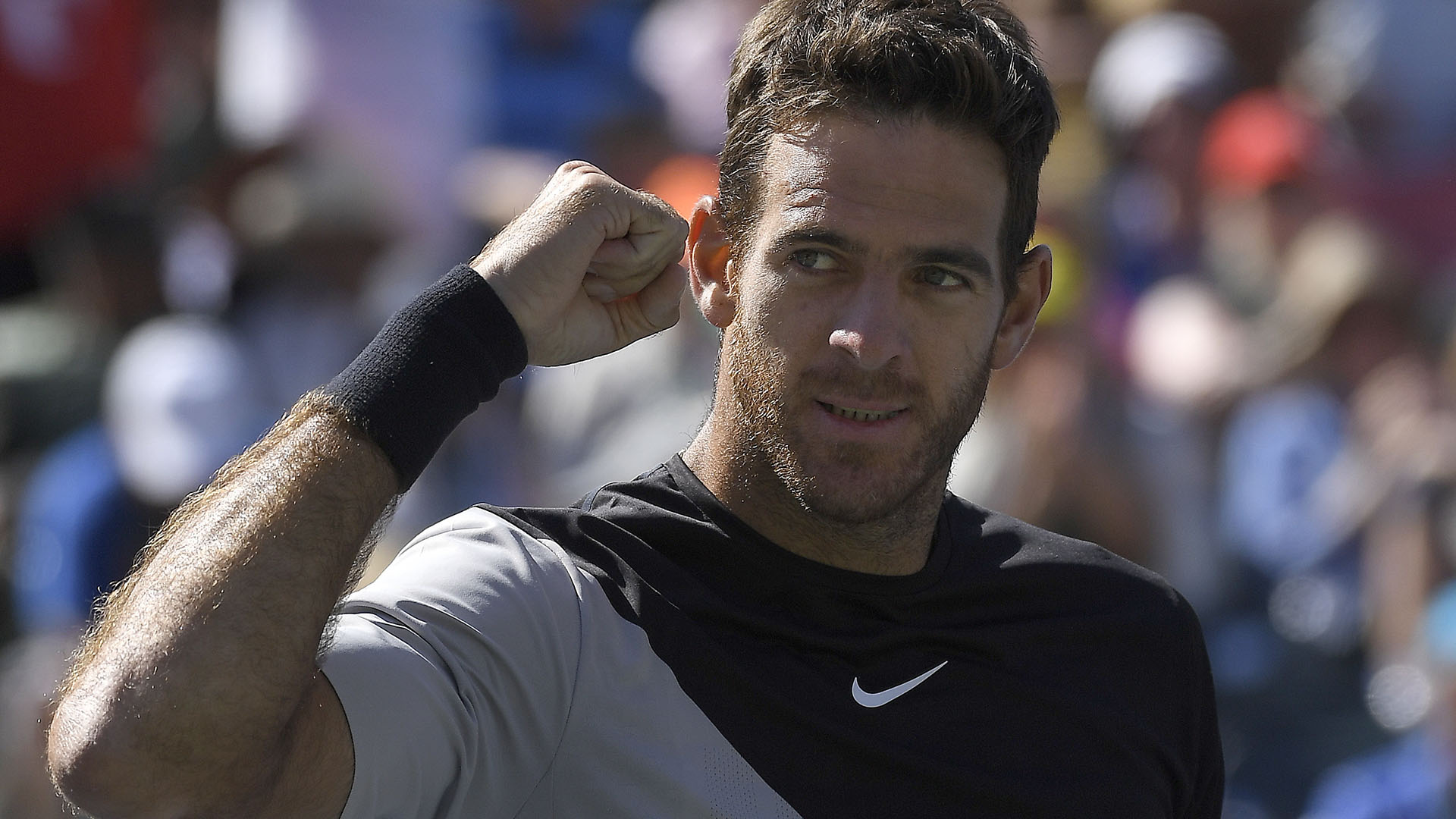 ¿Podrá Juan Martín del Potro ser  N°1 del mundo?