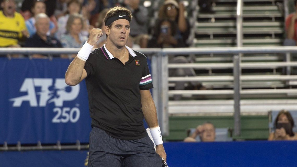 Juan Martín del Potro fuera del circuito por 2 semanas