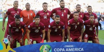 vinotinto